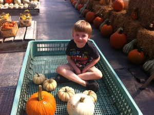 Daniel among the pumpkins